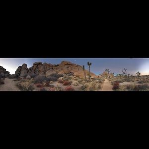 Meet your Posher, Thelma